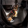MP6527 Pet Rear Seat Protector