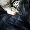 MP6527 Pet Rear Seat Protector