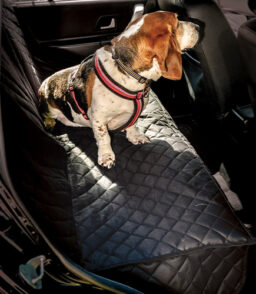 Pet Seat Covers