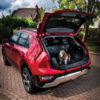 MP6527 Pet Rear Seat Protector