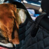 MP6527 Pet Rear Seat Protector